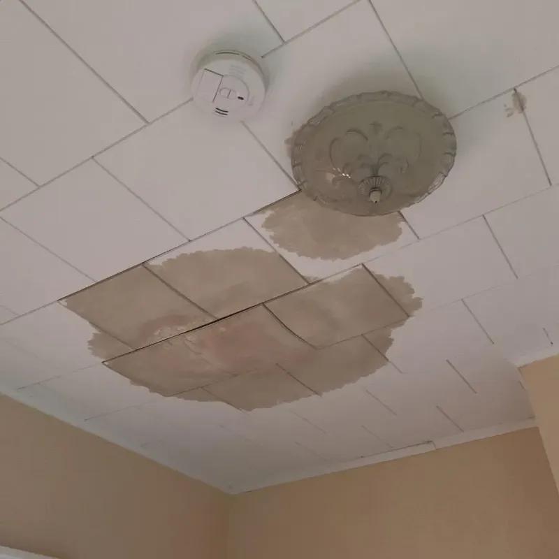 Ceiling Water Damage Repair in Waukesha County, WI