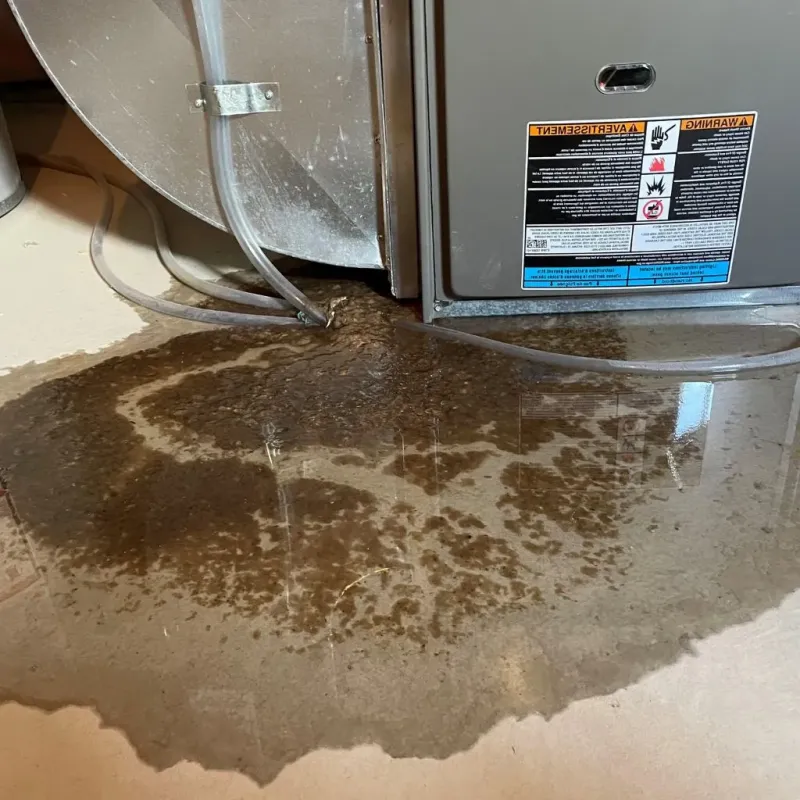 Pipe Burst and Leak Restoration in Waukesha County, WI