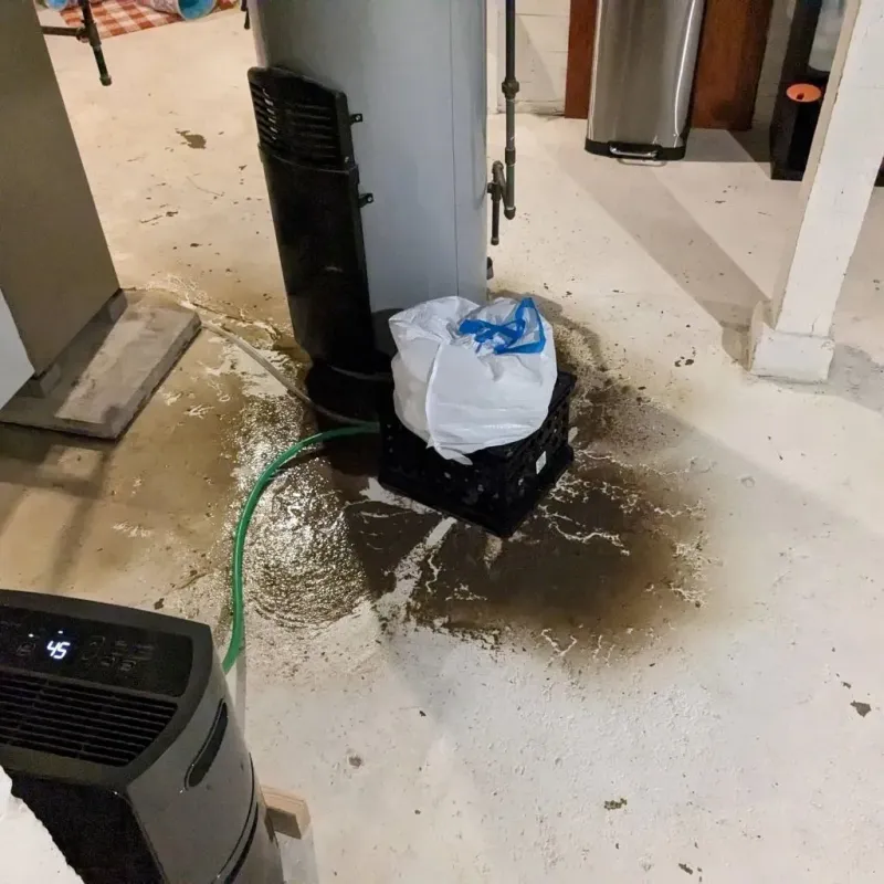 Sewage Backup Cleanup Service in Waukesha County, WI